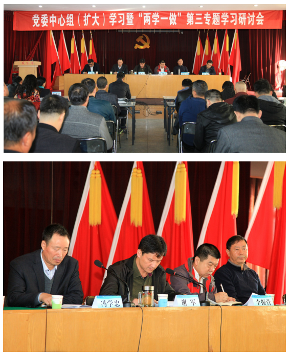集團公司黨委組織召開中心組(擴大)學習暨“兩學一做”第三專題學習研討會